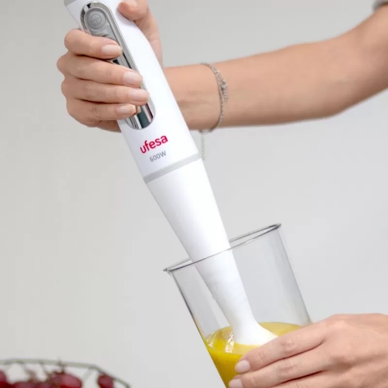 hand-blender-bp3441-vital.jpg-2